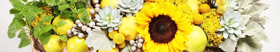 Sunflowers and lemons with dusty miller Sunflowers and lemons with dusty miller