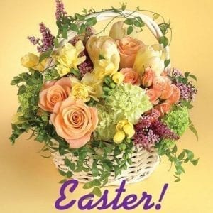 Easter sharable