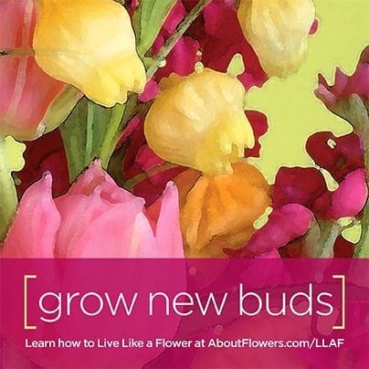 LIVE LIKE A FLOWER Facebook Graphic