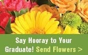 Grab Some Grads with FREE Web Graphics