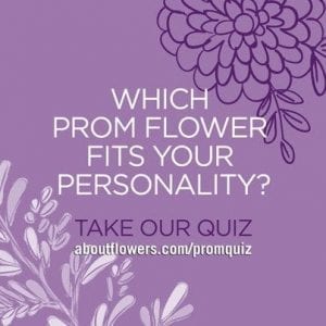 SAF created a quiz to help teens discover their prom personality, which members can share via email or social media. SAF created a quiz to help teens discover their prom personality, which members can share via email or social media.