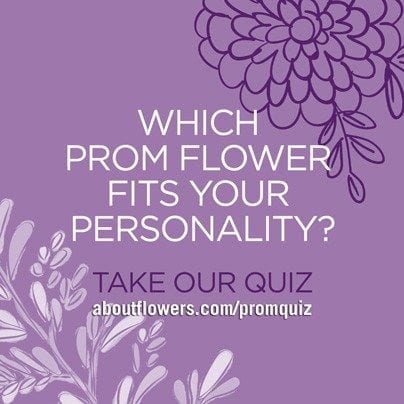 SAF PR Program Drives Teens to Prom Flowers