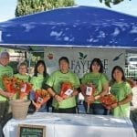 Lafayette, Colorado, DWF Wholesale Florists
