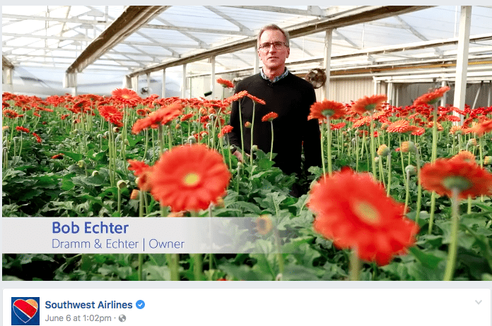 California Flower Farm Takes Staring Role in Southwest Ads