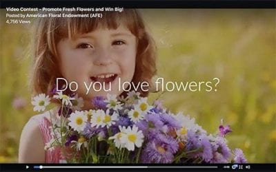 AFE Promotes Video Contest and Giving Tuesday