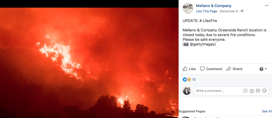 California Growers, Threatened by Wildfires, Share a Message: ‘We’re Open for Business’