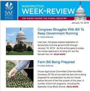 Welcome New Week In Review Readers