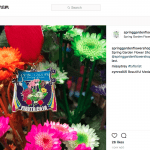 Nine years ago, Spring Garden Flower Shop started making commemorative pins for Fiesta — a 10-day party that celebrates the city’s heritage and culture, raises money for charities and draws a crowd of more than 3 million.