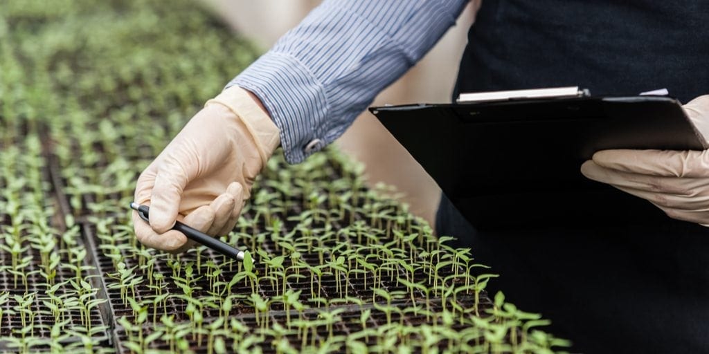 SAF to Participate in Federal Specialty Crop Research Plan