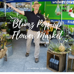 Beat Summer Slowdown With Pop Up Concept