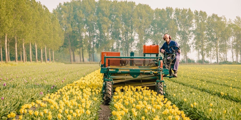 Senate Approves Its Farm Bill