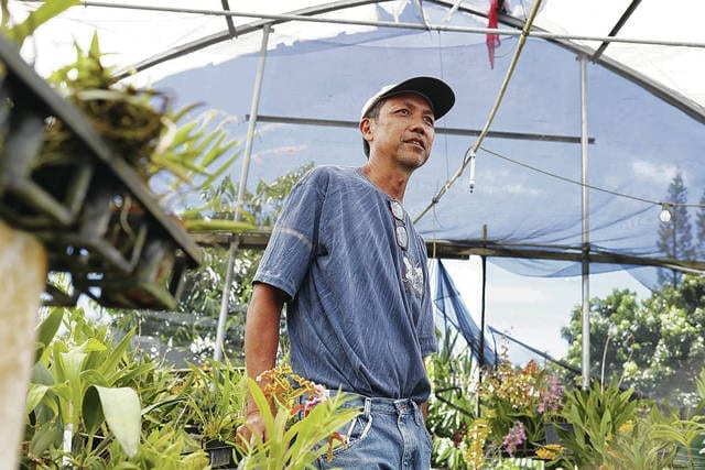 Ongoing Volcanic Activity Threatens Orchid Growers in Hawaii