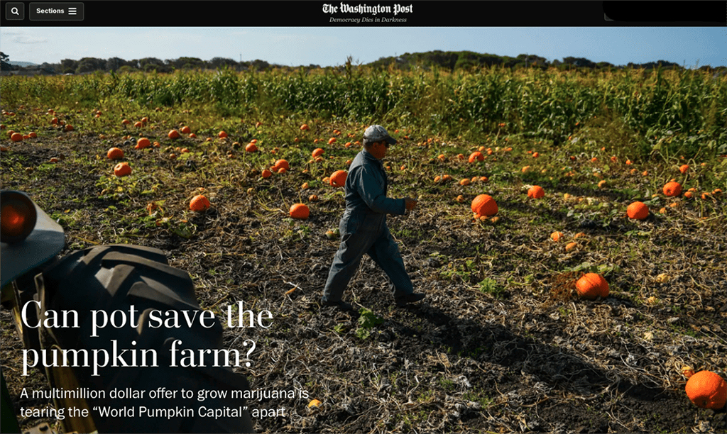 Farmer Hopes Marijuana Revenue Will Buoy Business