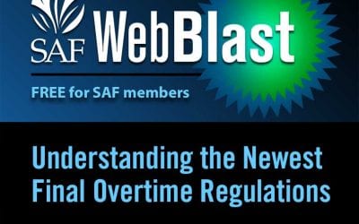 How Do the New Overtime Rules Affect Your Business?