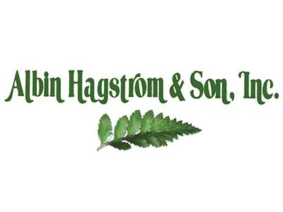 Expo-Albin-Hagstrom-4x3 Accent Decor