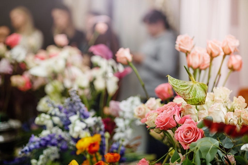 flowers in foreground