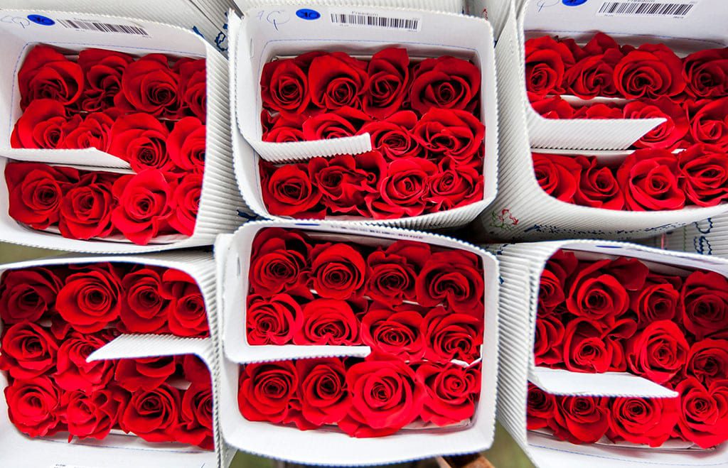 With Addition of Roses to GSP, Industry Businesses Stand to Save Tens of Millions