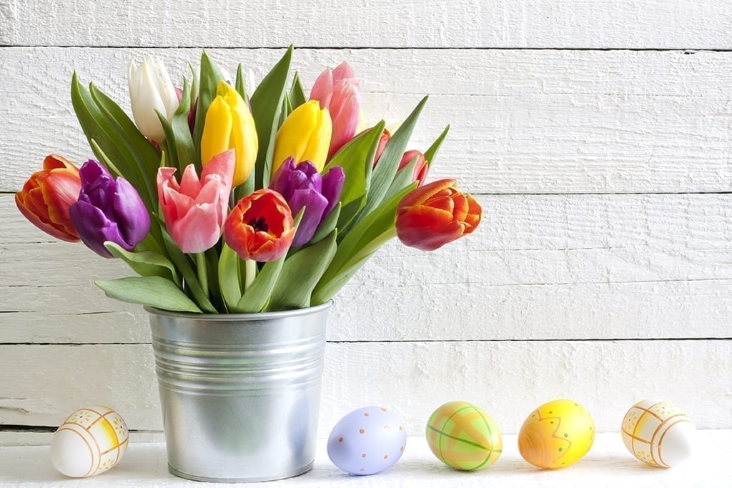 Easter Celebrations Take a Small Hop Forward