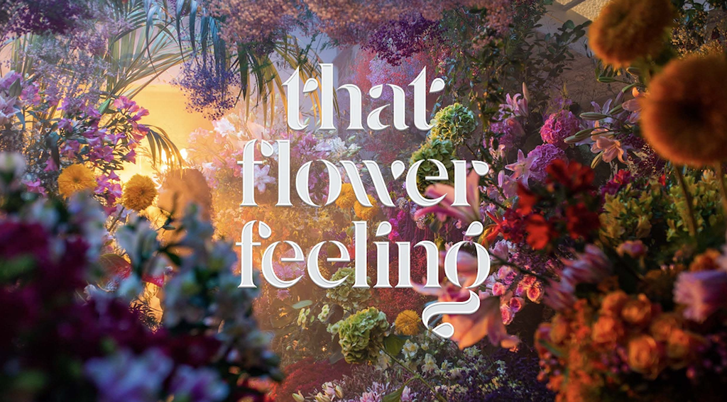 CalFlowers Launches All-Industry Marketing Campaign