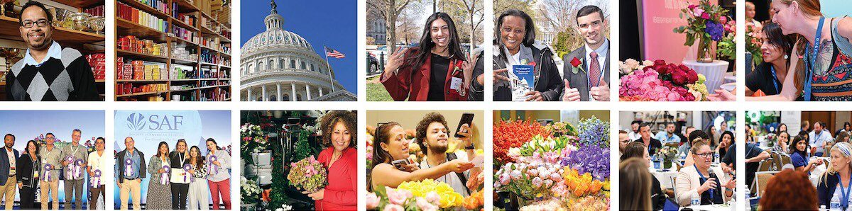SAFCollage events with people