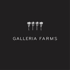 Galleria Flower Clique