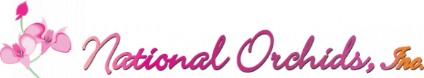 cropped-National_Logo-copy-e1661946617362